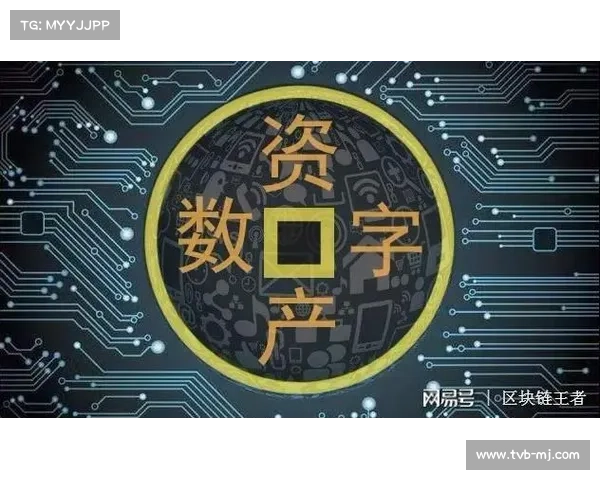 体育数字资产灾难备份系统建设加强，保障数据安全。