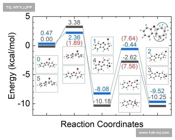 科技赋能体育:AI预测模型如何改变赛事分析